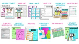 samples of writing program