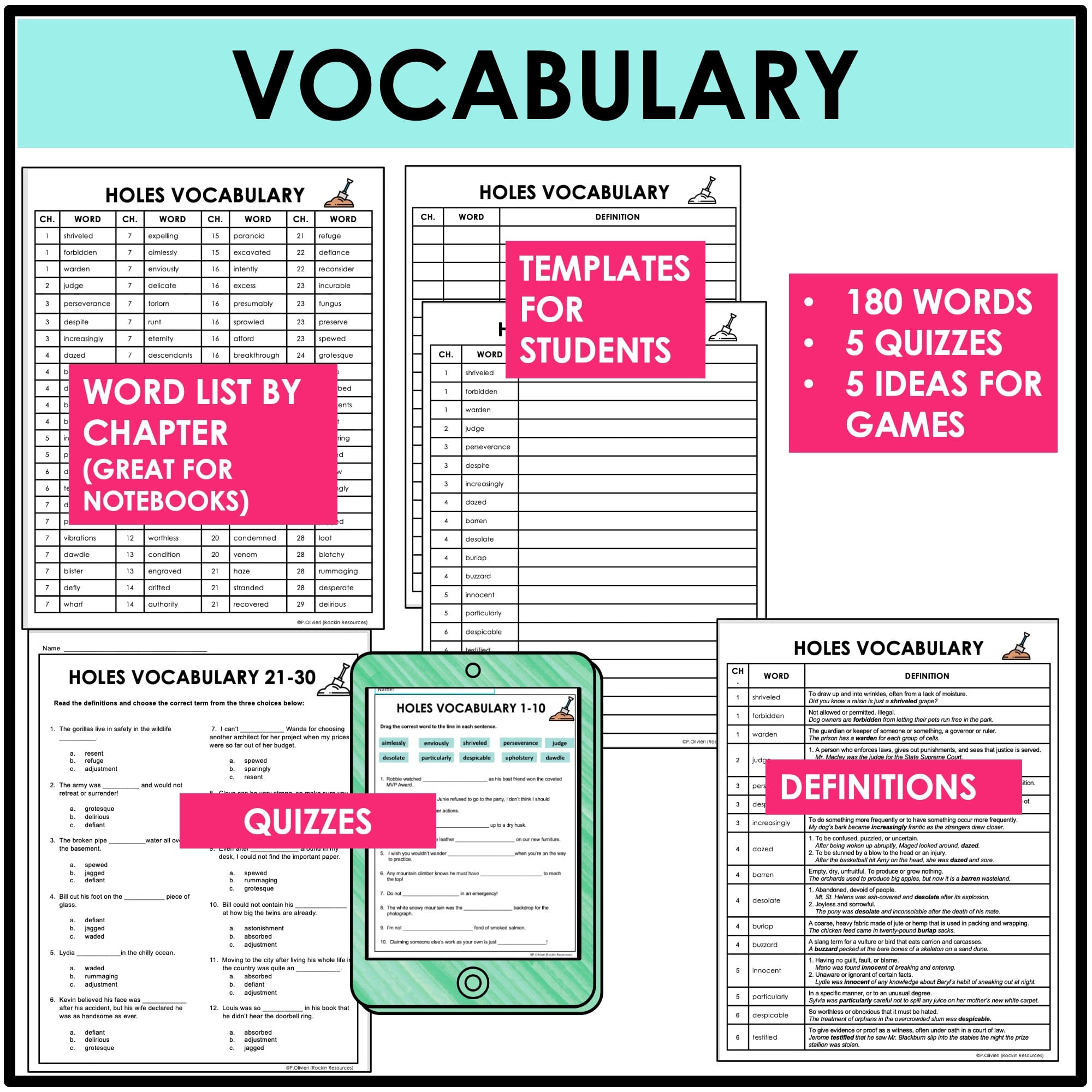 HOLES NOVEL STUDY - HOLES NOVEL UNIT - HOLES CHAPTER QUESTIONS - Image 3