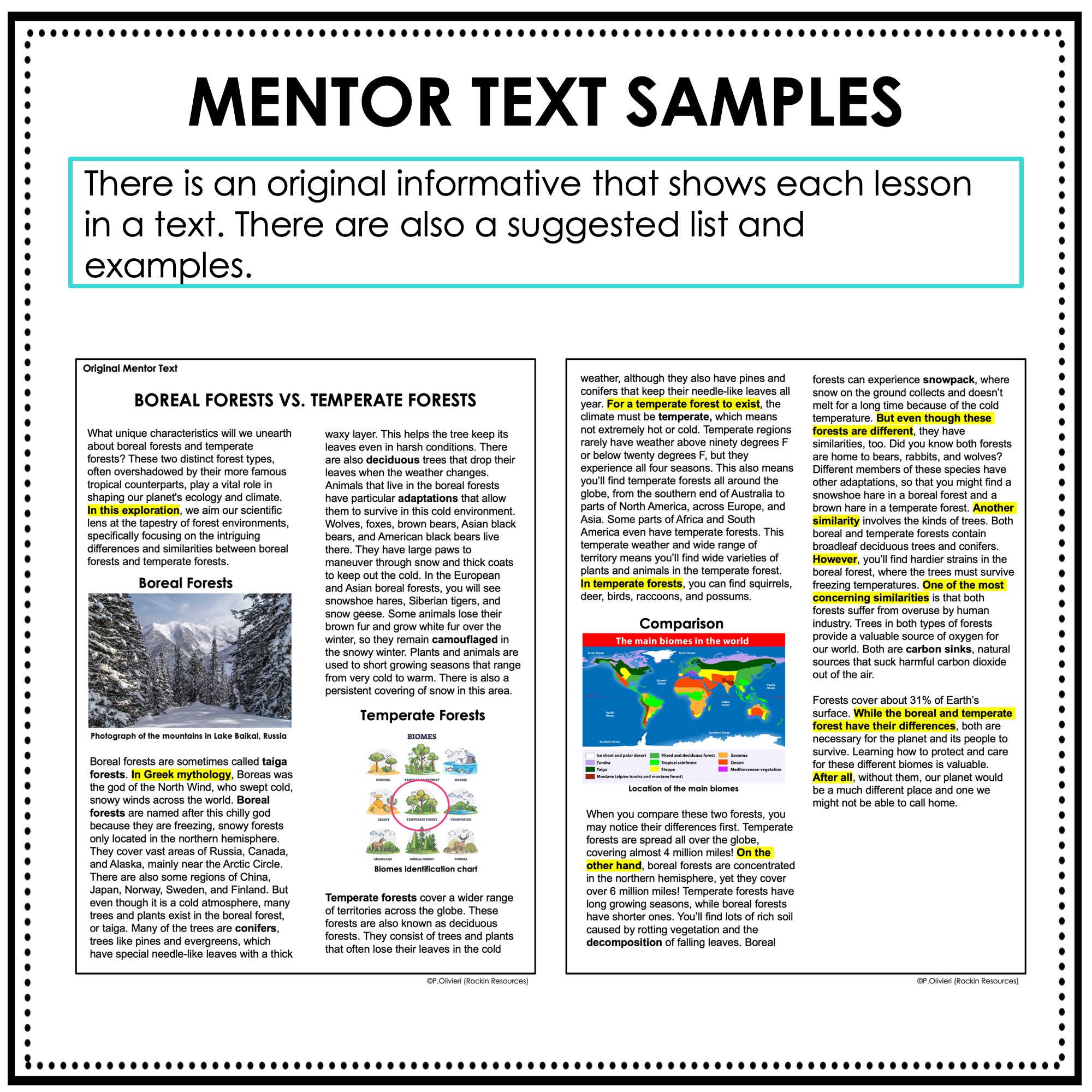 8th Grade Informative Writing, 8th Grade Writing, Middle School Writing - Image 3