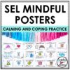 2ND GRADE SOCIAL EMOTIONAL LEARNING BUNDLE - JOURNAL AND POSTERS ...