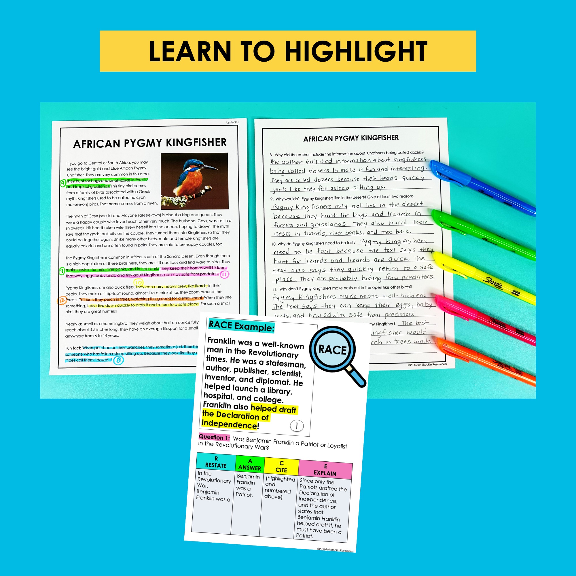 Text Evidence Bundle – Task Cards – Reading Passages – Reading Comprehension - Image 7